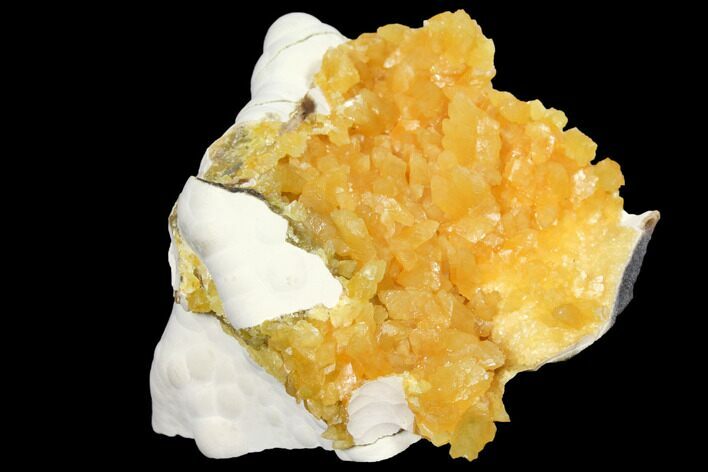3.1" Fluorescent, Yellow Calcite Crystal Cluster - South Dakota
